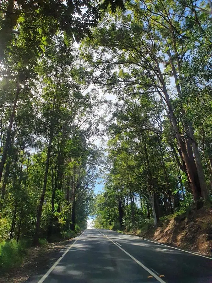 Lovestone Cottages Montville Australia